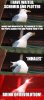 Inhale seagull.jpg