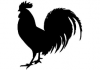 Rooster.png