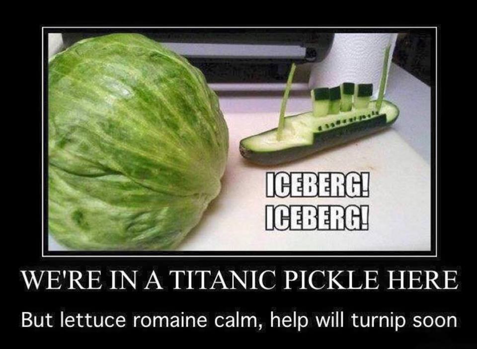 Titanic Pickle.jpg